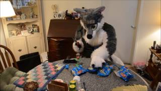 Digimon Domez Mystery Bags Fursuit Edition @RougaFang