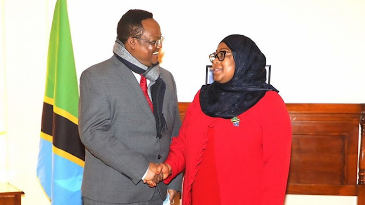 Je, hatua ya Samia kukutana na Tundu Lissu ina maana gani kwa uongozi wa Rais Samia Suluhu?