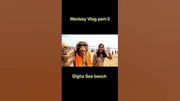 Ai monkey vlog | Digha vlog Part -3 #shortvideo #shortsfeed #shorts #short #ai
