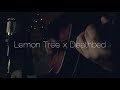 Lemon Tree x Death bed mashup(fingerstyle cover)