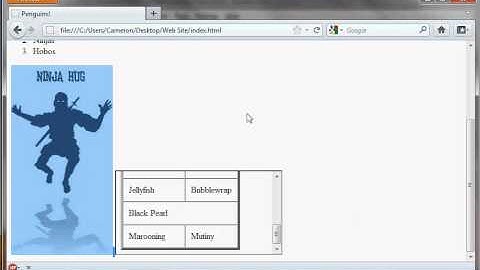 Build Your Own Website » Lesson 7 » iFrames in HTML » Spin Your Own Web!