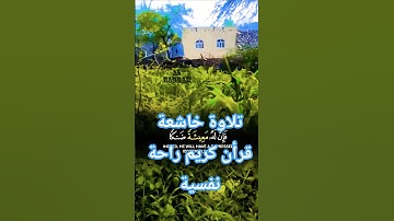 قرأن كريم تلاوة خاشعة راحة نفسية بصوت جميل #قران_كريم #قرآن #elmulquranعلم