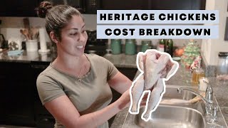 HOW MUCH does raising chickens for meat cost? (HERITAGE Chickens for Meat)