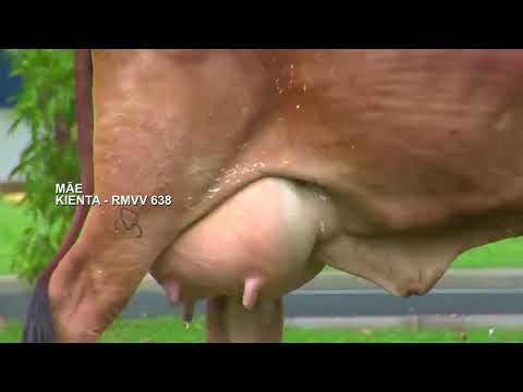 LOTE 12   LENICE FIV MONTE AZUL RMVV 1866 936