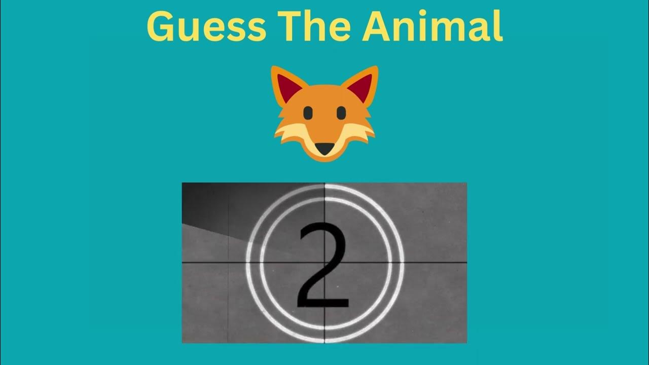 Kids Name Of Animals 2 YouTube kids-name-of-animals-2-youtube