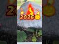2026 May 16, Atlantic Giant Pumpkins planted! #winning #music #trending