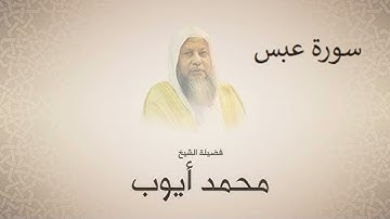الشيخ محمد ايوب سورة عبس