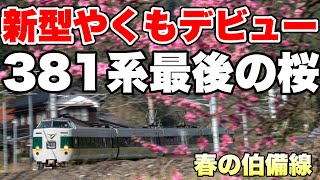 【鉄道写真】新型やくも273系デビュー！381系最後の桜！