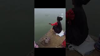 рыбалка#рыбалка #fishing #lifehacks #viral #fyp #лайфхаки #shorts  #food #eating #keşfet