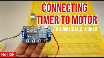 Complete Guide to Setup Digital Timer Module Switch for Automatic Egg Incubator