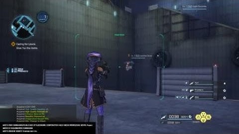 Sword art online fatal bullet AR blue rose rank 10 legendary