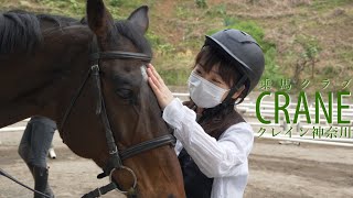 乗馬クラブ「クレイン」で乗馬体験してみた