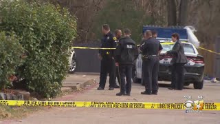 Dallas Police report fewer crimes but more victims than last year
