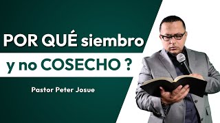 ¿ POR QUÉ siembro y no COSECHO ? | CONSEJOS DE UN PROFETA # 99