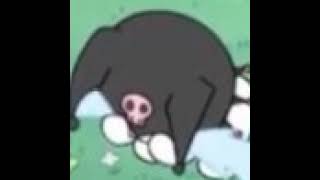 live teste youtube live teste youtube