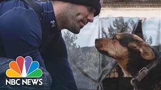 American Travels To Ukraine To Help Animals Displaced By The War