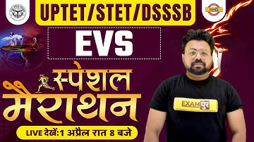 UPTET/STET/DSSSB 2023 | EVS | स्पेशल मैराथन | EVS MARATHON CLASS | EVS IMPORTANT QUESTIONS