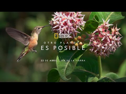 El DÍA DE