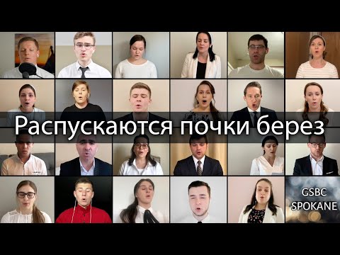 Распускаются почки берез | Виртуальный хор