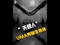 “天蛾人”目擊事件頻發，這種怪物是來自外星還是地球遠古生物？