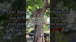 Que Agusto la vida de rancho