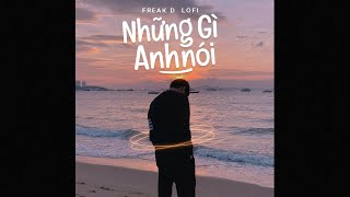 Những Gì Anh Nói (Lofi Ver.) - Bozitt x Freak D