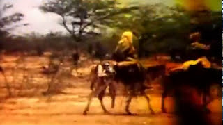 Aterciopelados - Que te Besen (Video Oficial)