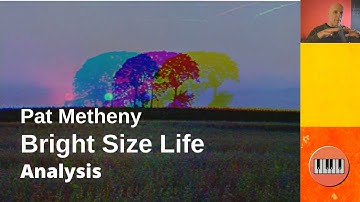 Bright Size Life: Harmonic Analysis (Schenkerian approach)