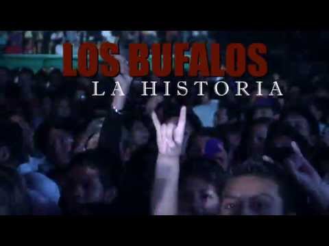 Los Bufalos - La historia - Trailer Oficial