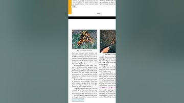 Std - 6 Science (Chapter - 16 Garbage in, Garbage out)