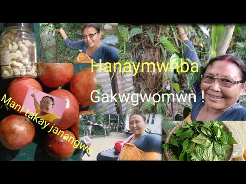 Nwi Madama Fhatwi Kalaybay Gaonw Gaynay