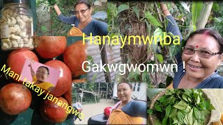 Nwi madama fhatwi kalaybay gaonw gaynay