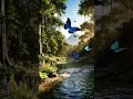 Beautiful Nature l Most Beautiful Nature Scenes Ever 🌿✨ | Must Watch l #nature #shorts #viral