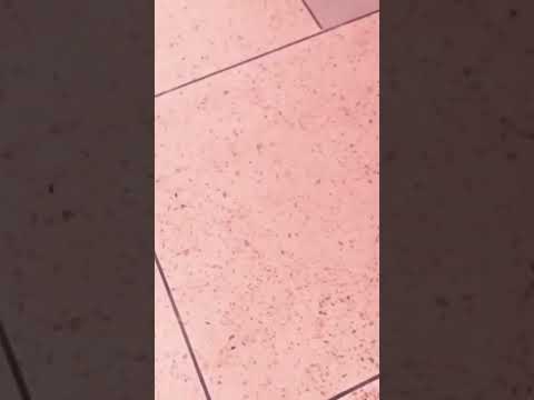 تحويل سطح منزلك إلى تحفة فنية مع ديكور تيرازو الرائع