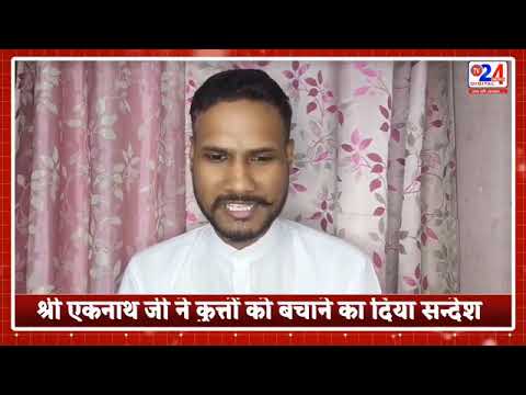 My opinion on Supreme Court order on stray dogs