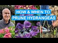 HOW & WHEN TO PRUNE HYDRANGEAS: PRUNING MASTERCLASS: pruning Mopheads & Lacecaps Step-By-Step