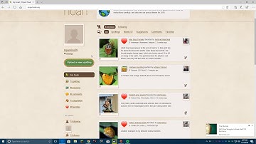 Computational Artifact