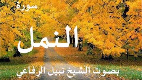 سورة النمل بصوت الشيخ نبيل الرفاعي
