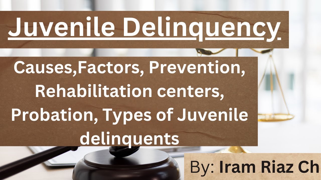 Juvenile Delinquency Causes Factors Prevention Courts