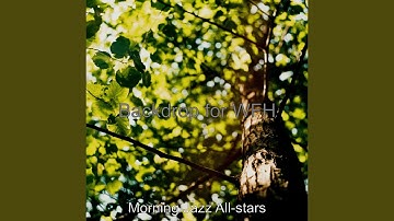 Number One Backdrops for Peaceful Mornings