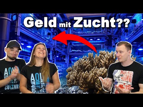 Geld verdienen mit KORALLENZUCHT? - Besuch bei Coralaxy & Tour durch 20.000 Liter Meerwasseranlage