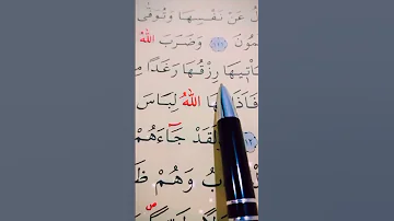 سورة النحل الأية 111 إلى 112 القارئ سعد الغامدي 