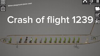 The crash of flight 1239 ||melon playground||