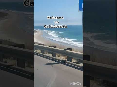 #побережье #океан #шортс #shorts #short #отдых #лето #shortfeed #shortviral #coast #pacific #cool