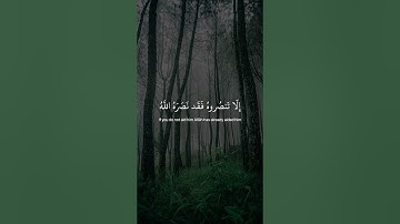 إلا تنصروه فقد نصره الله | ماهر المعيقلي | سورة التوبة