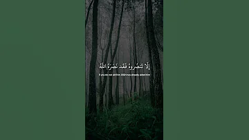 إلا تنصروه فقد نصره الله ماهر المعيقلي سورة التوبة 