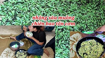 Nhộng sâu muồng một năm chỉ có một mùa món này chiên ăn với cơm BAO TỐN cơm