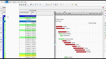 Primavera P6 Filter By Tutorial | How to Filter Activities by Activity Code in Oracle Primavera P6?