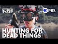 Fossils and Paleontology Concepts