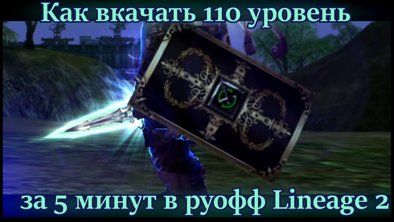 Как вкачать 110 лвл за 5 минут в руофф Lineage 2